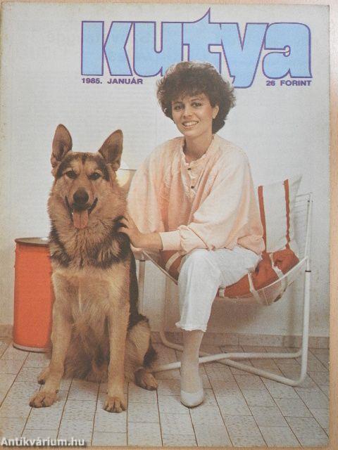 Kutya 1985. január-december