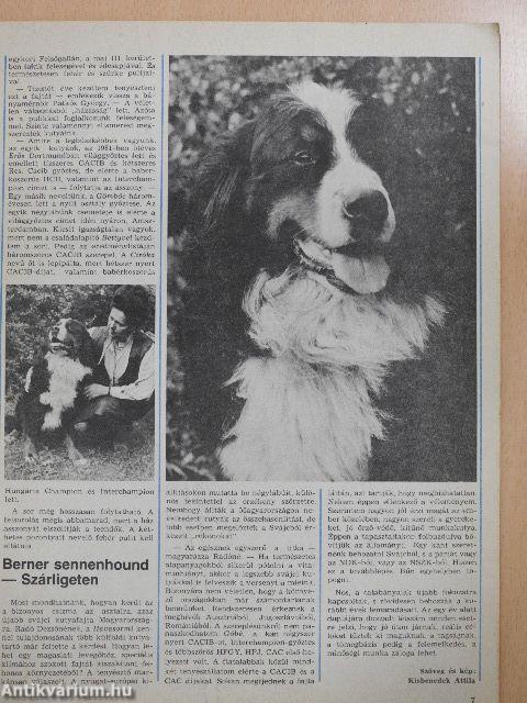 Kutya 1985. január-december