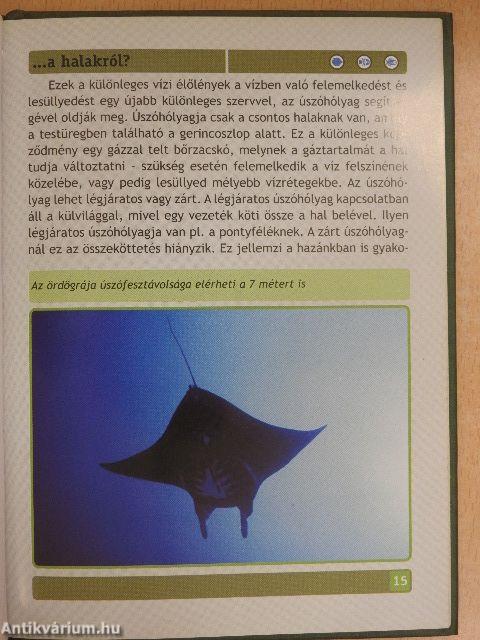 Mit kell tudni a halakról?