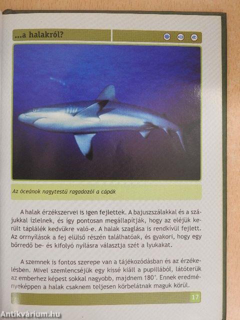 Mit kell tudni a halakról?