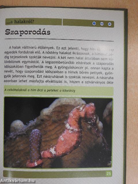 Mit kell tudni a halakról?