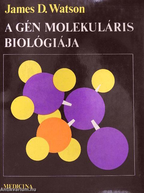 A gén molekuláris biológiája