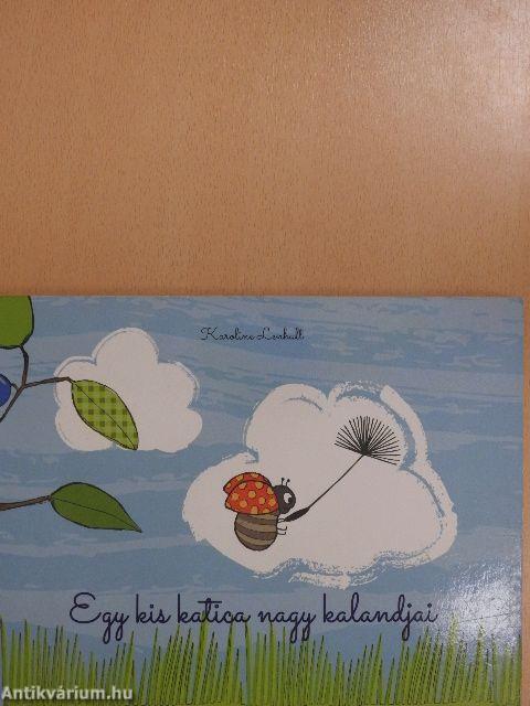 Egy kis katica nagy kalandjai