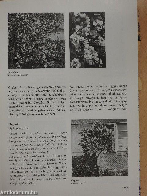Virágoskert, pihenőkert