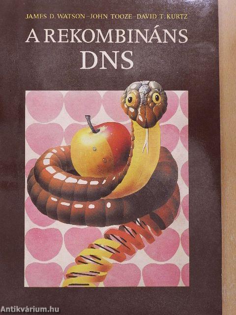 A rekombináns DNS