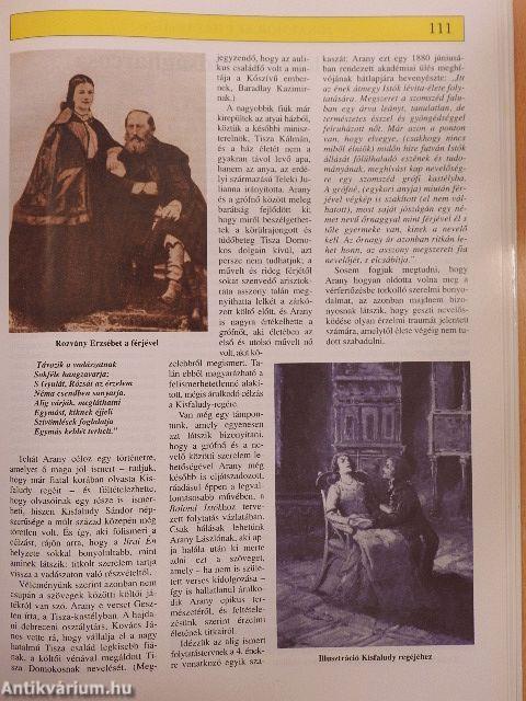 Száz rejtély a magyar irodalomból