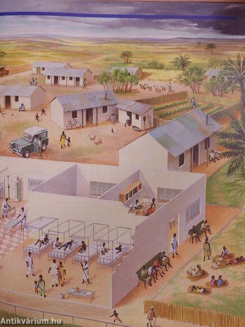 A modern századvég, amiben élünk