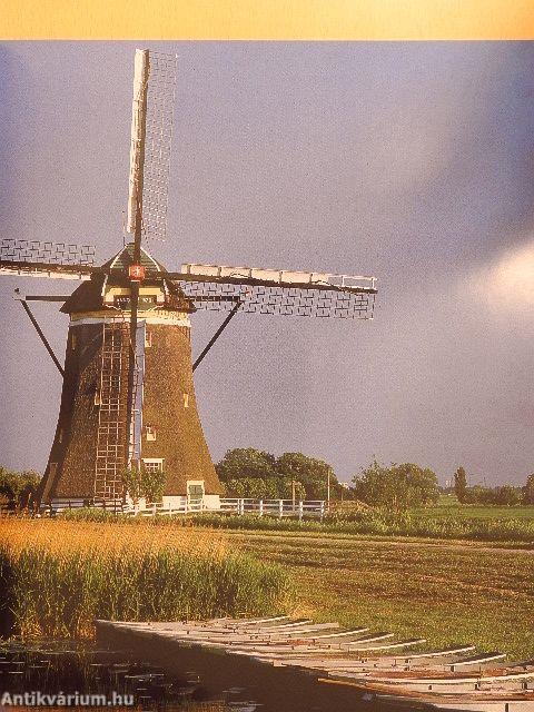 Hollandia