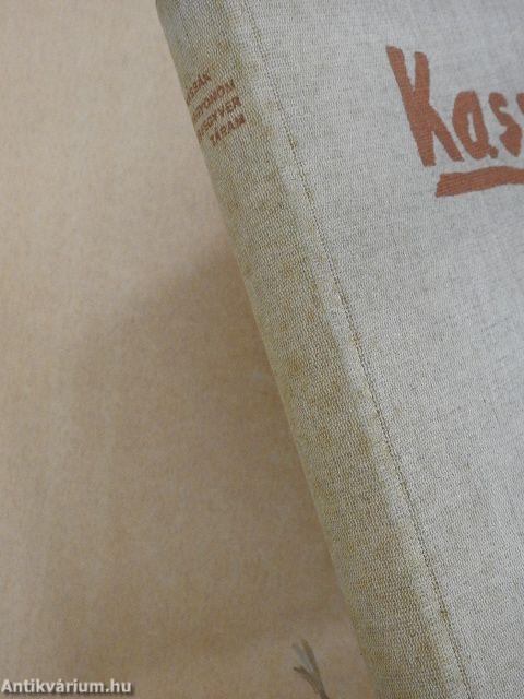 Vagyonom és fegyvertáram