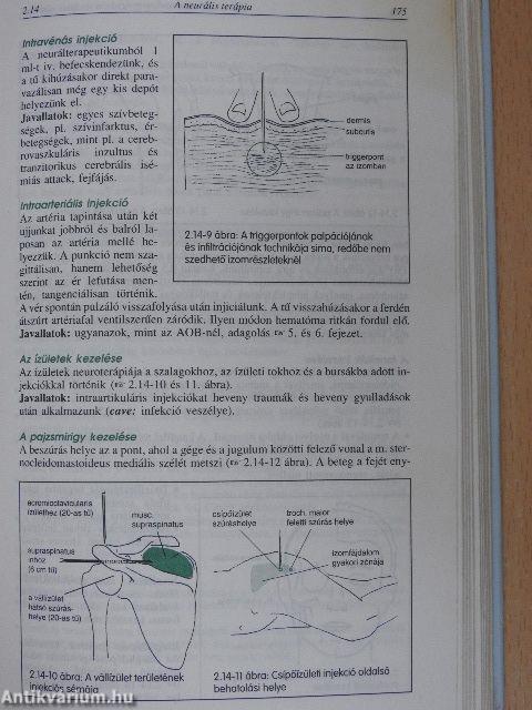 Természetgyógyászati kézikönyv I-II.