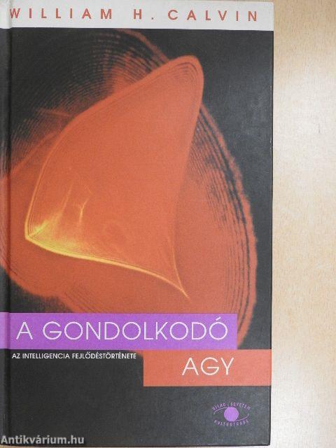 A gondolkodó agy