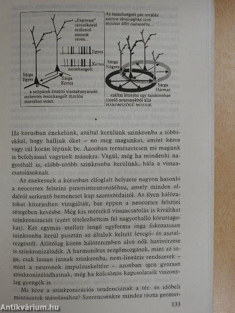 A gondolkodó agy