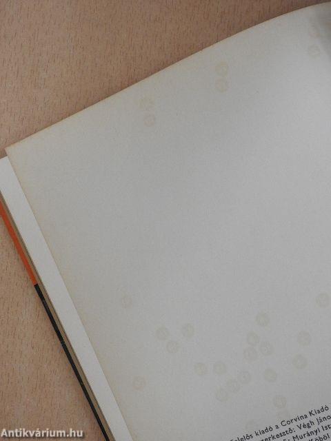 Dánia építészete