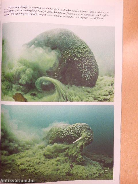 National Geographic Magyarország 2015. május