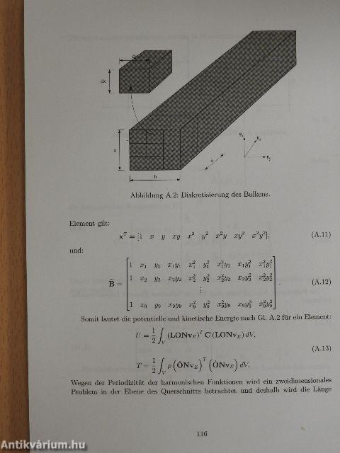 Wellenausbreitung in Holzbalken, Charakterisierung des Materials und Detektion von Fehlstellen