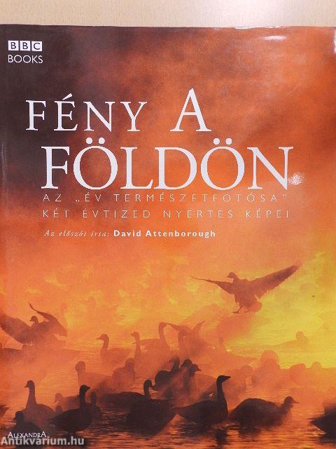 Fény a Földön