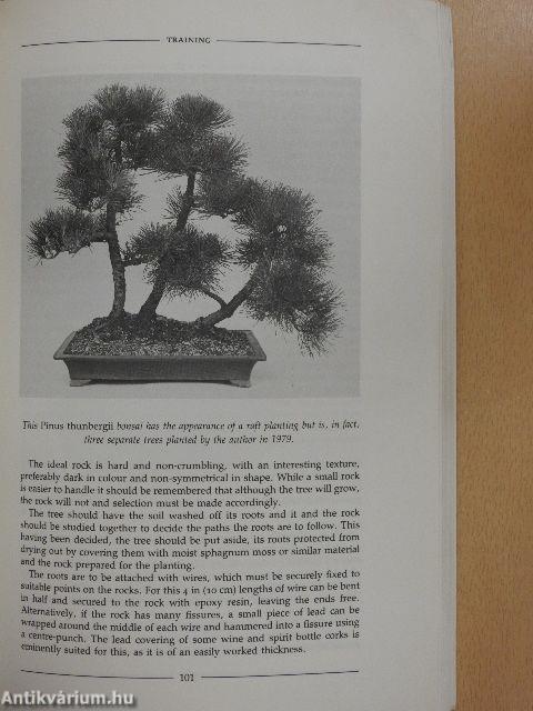 The Collingridge Handbook of Bonsai