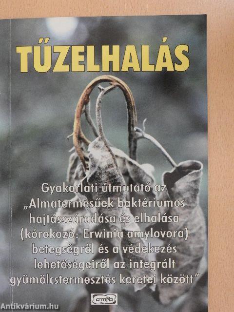 Tűzelhalás