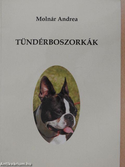 Tündérboszorkák