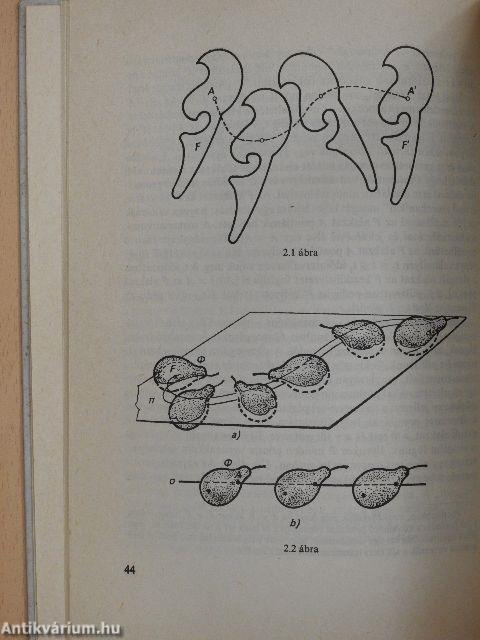 Galilei relativitási elve és egy nemeuklideszi geometria