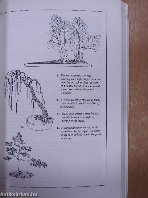 The Collingridge Handbook of Bonsai