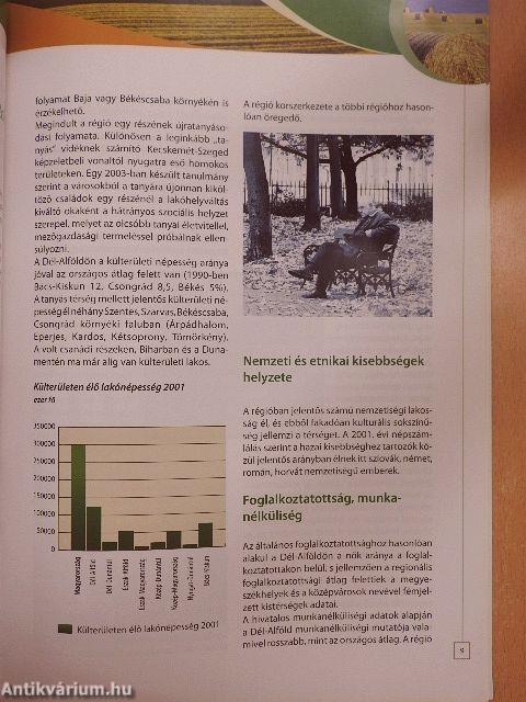 Dél-alföldi Régió