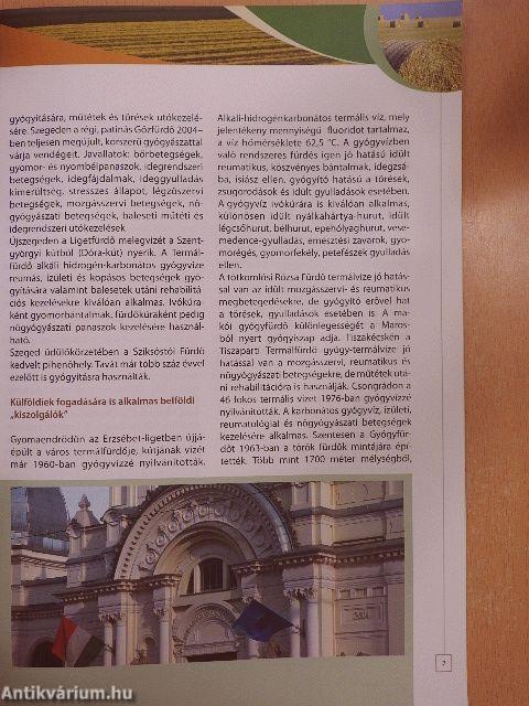 Dél-alföldi Régió