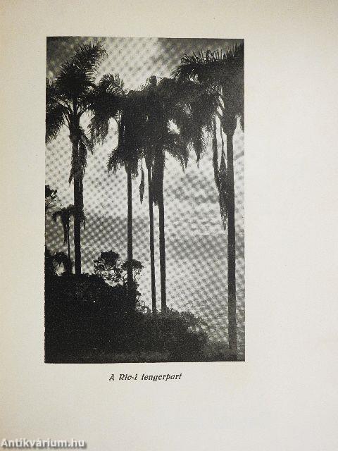 Tizenöt év Braziliában