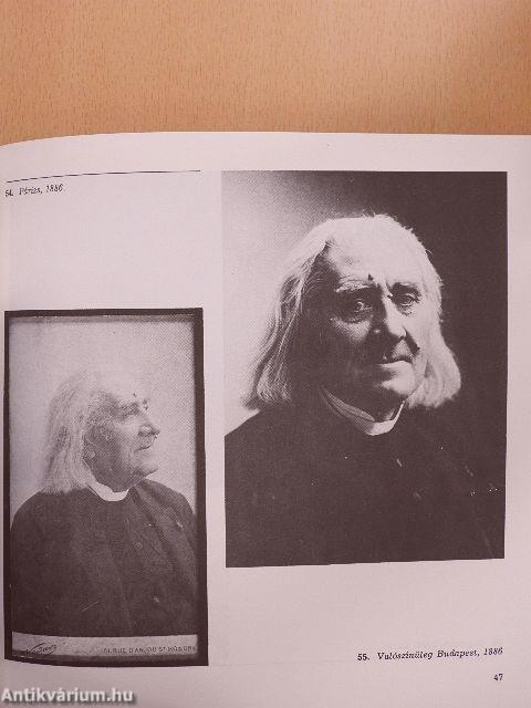 Liszt Ferenc arcai