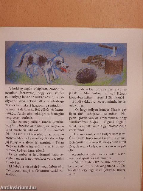 Mese a hűséges sünöcskéről
