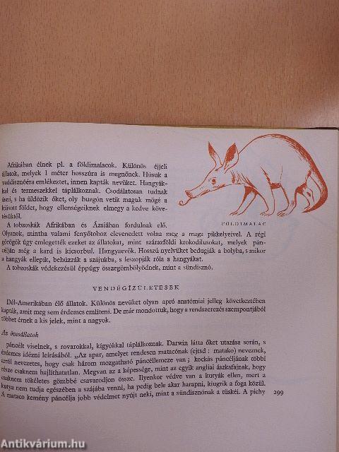 Ismeretlen világ: Az állatok