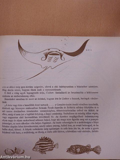 Ismeretlen világ: Az állatok