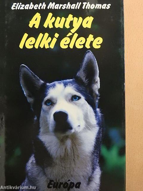 A kutya lelki élete