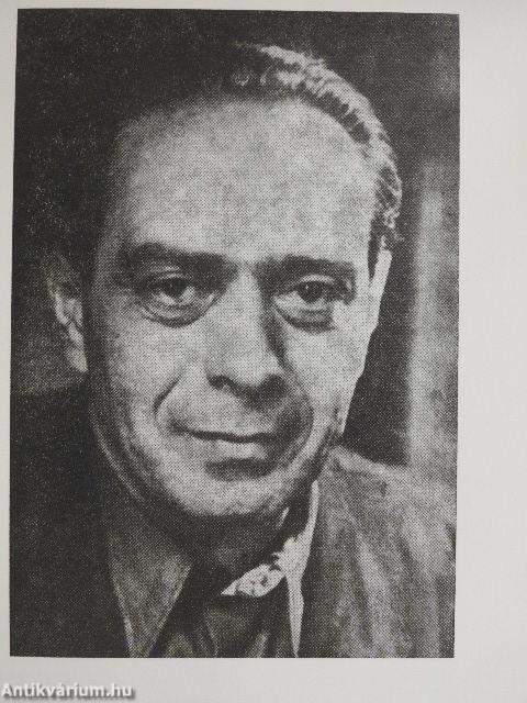 Nappali menedékhely