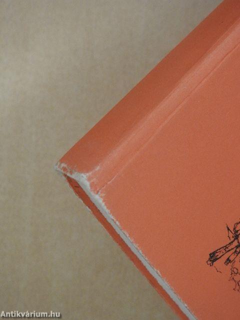 Versenyfutás az életért 