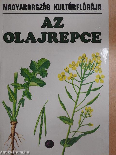 Az olajrepce