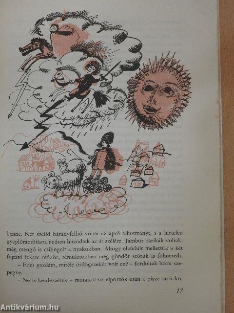 Kökörcsin, a király bolondja