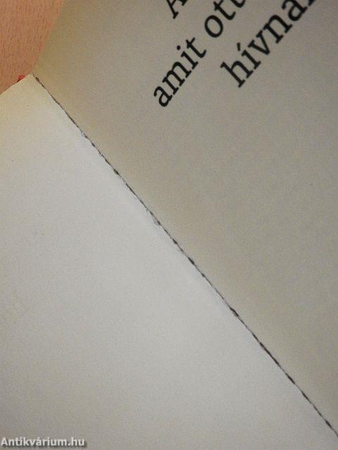 A hely, amit otthonnak hívnak