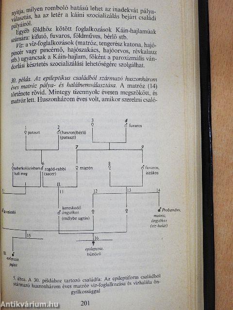 Káin, a törvényszegő/Mózes, a törvényalkotó