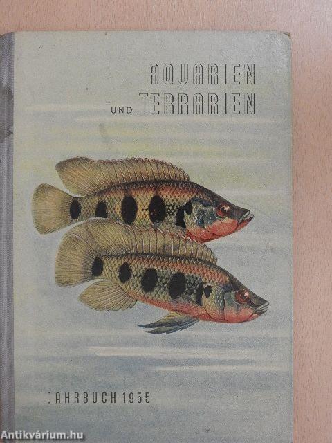 Aquarien und Terrarien Jahrbuch 1955