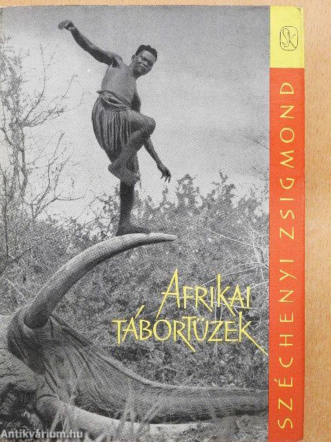 Afrikai tábortüzek