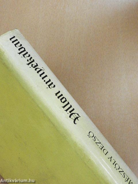 Villon árnyékában