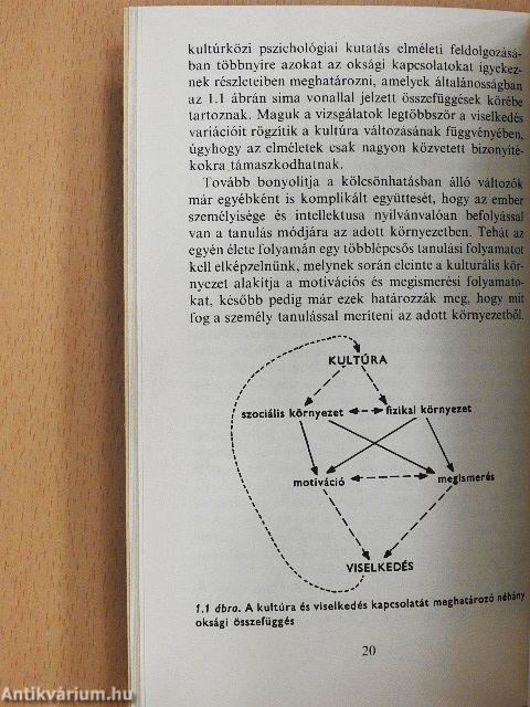 Kultúra és viselkedés