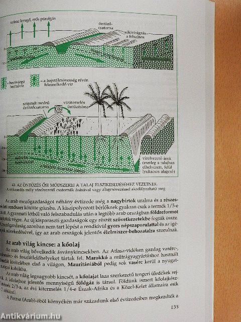 Regionális földrajz