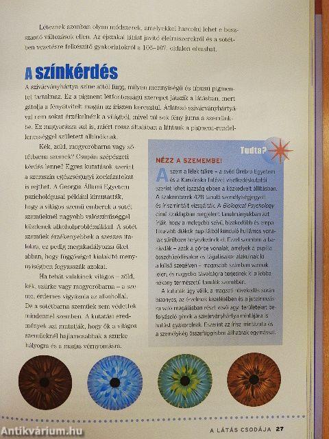 Hogyan őrizhető meg érzékszerveink egészsége?