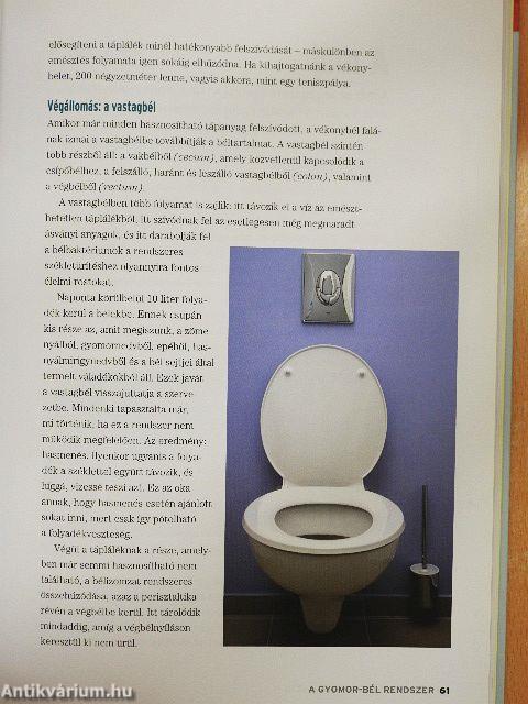 Hogyan tartható egyensúlyban az anyagcsere?