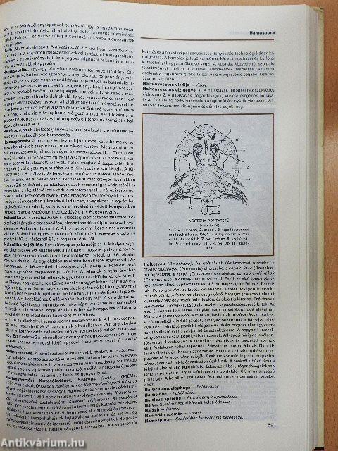Mezőgazdasági Lexikon I-II.