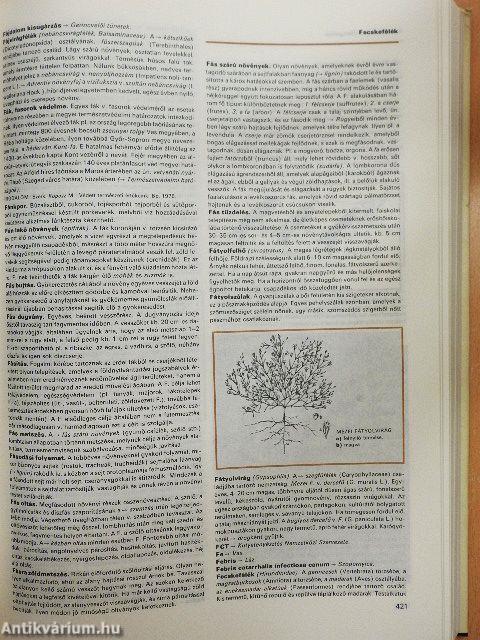 Mezőgazdasági Lexikon I-II.