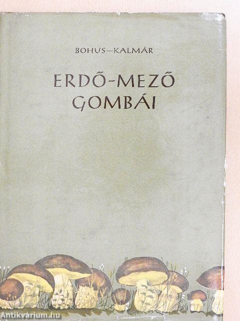 Erdő-mező gombái