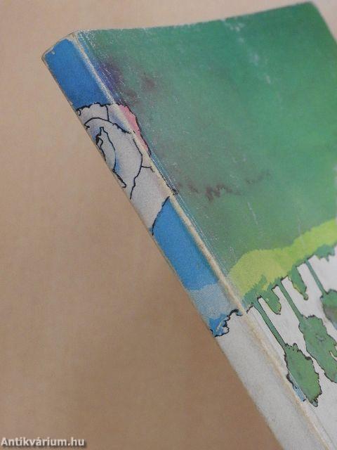 Nagy öröm a kiskert!